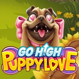 Go High Puppy Love logo by RubyPlay at Coldbet Casino
